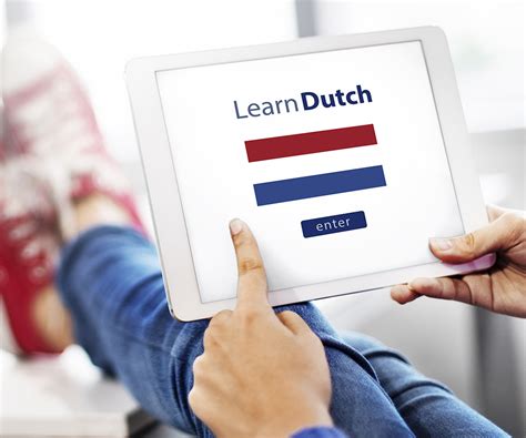 nederlandse taal check